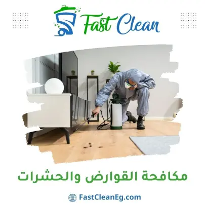 مكافحة الحشرات والقوارض من فاست كلين